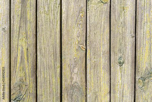 A texture with a beautiful natural aged wooden background with peeling green paint on the boards.