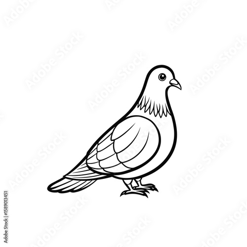 Standing Pigeons – Black and White Line Art