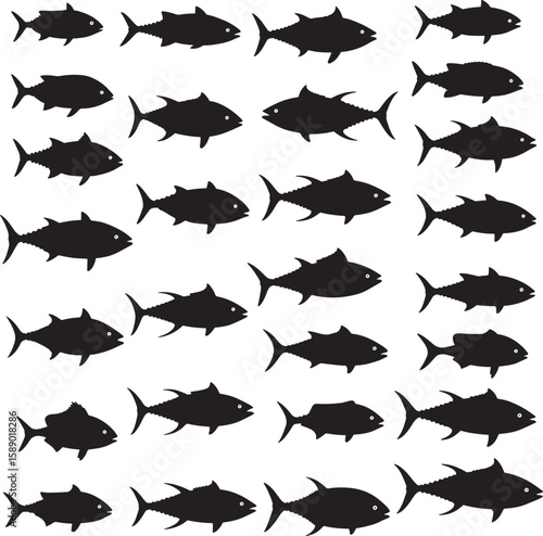 Various mackerel and tuna fish school silhouettes vector illustration