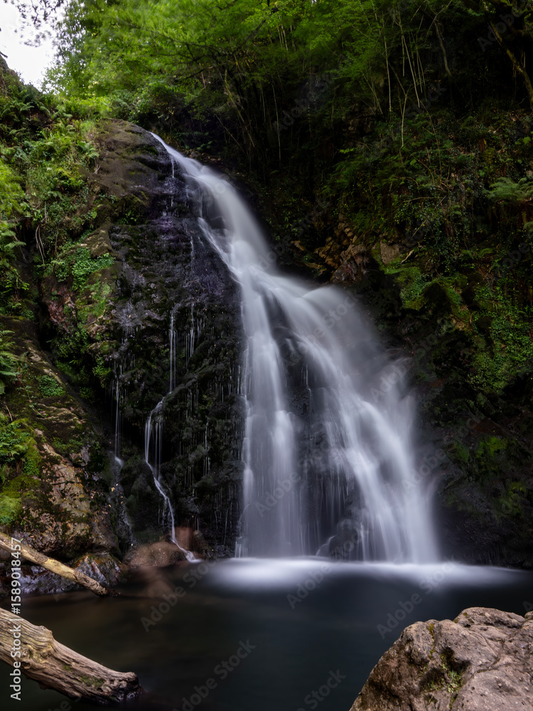 Fototapeta premium Forests of the Baztan Valley (Navarra, Spain)