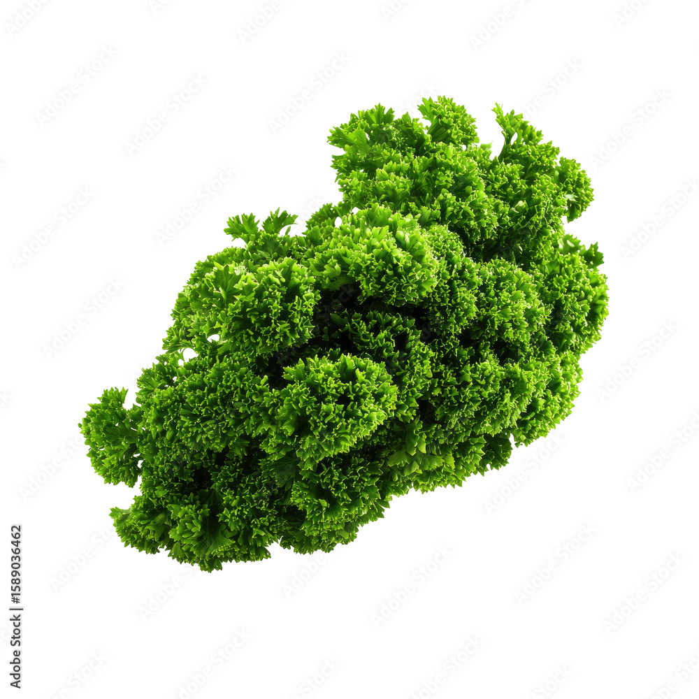 Fototapeta premium Fresh, vibrant green leafy cluster