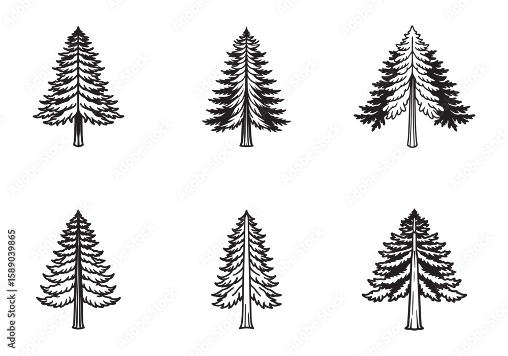 Fototapeta premium set of redwood tree icon line art vector illustration