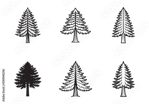 redwood tree icon line art vector illustration