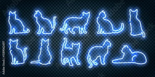 Vector set of neon signs of cat isolated on the transparent background.