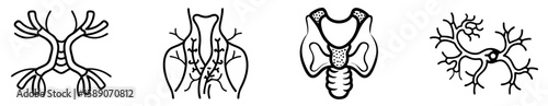 Endocrine and Lymphatic System Icons