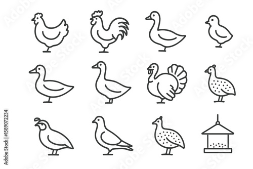 Outline icons of various birds including chicken, duck, and pigeon