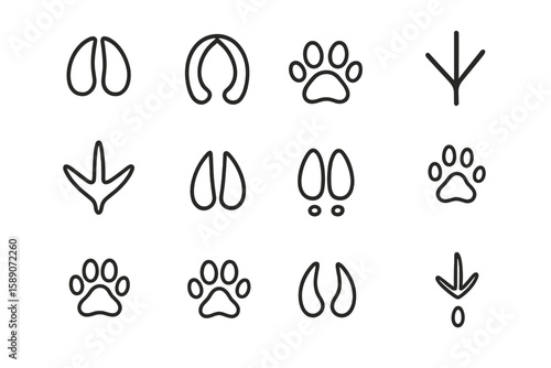 Animal tracks collection on dark background showing various paw and hoof prints