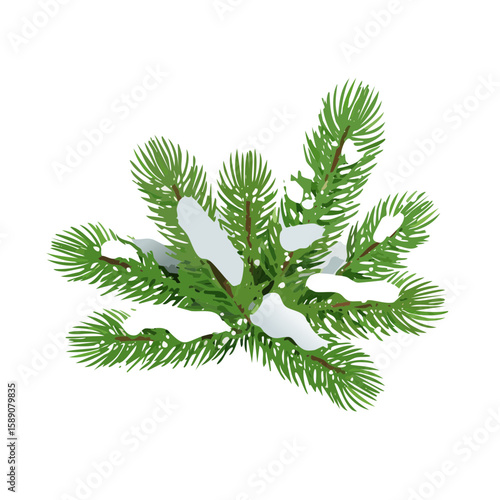 Evergreen Branch with Snow: Winter Holiday Vector Illustration
