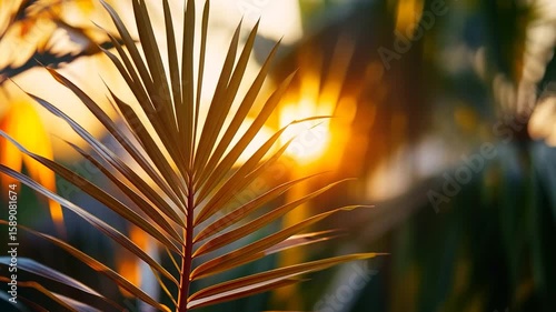 Golden palm leaf at sunset