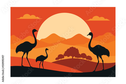 Ostriches Struthio Camelus In Early Morning Light