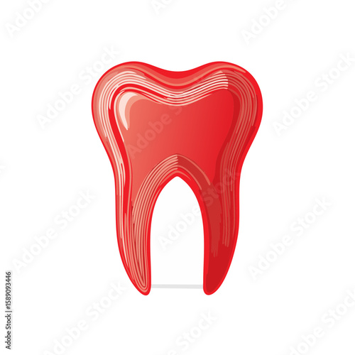 Red tooth anatomy illustration dental care hygiene oral health molar diagram
