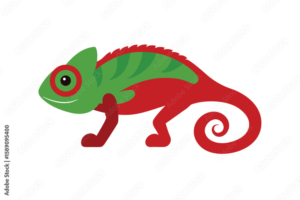 Fototapeta premium Chameleon Furcifer Pardalis Ambilobe 18 Months