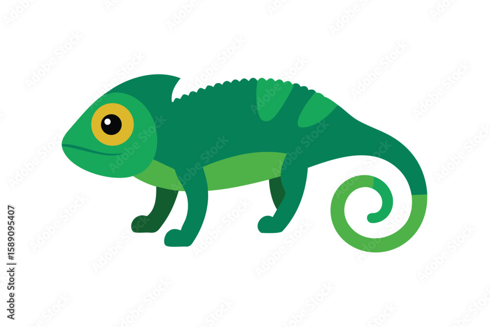 Fototapeta premium Chameleon Furcifer Pardalis Ambilobe 18 Months