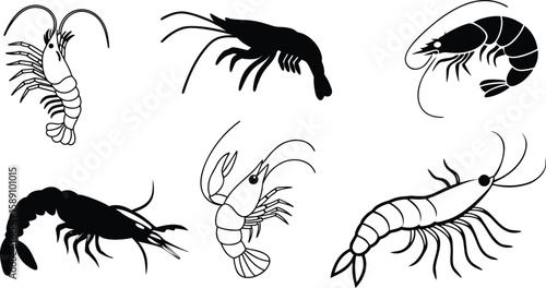 black shrimp silhouette set.