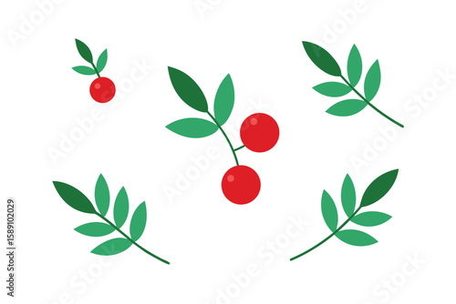 Hawthorn Berries And Fennel Leaves Seamless Illustration