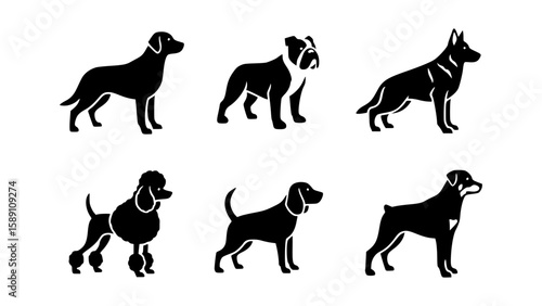 A diverse collection of dog breeds presented in elegant silhouettes. Each breed is depicted with refined detail, offering a glimpse into their distinct characteristics