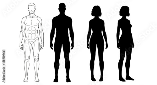 Visual Representation of Human Anatomy and Silhouettes for Design and Educational Purposes Showing Male and Female Forms Front and Side Views