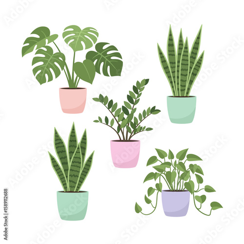 Flat Design Houseplants for Interior Decoratio, Stylish Home Decor Plants Set