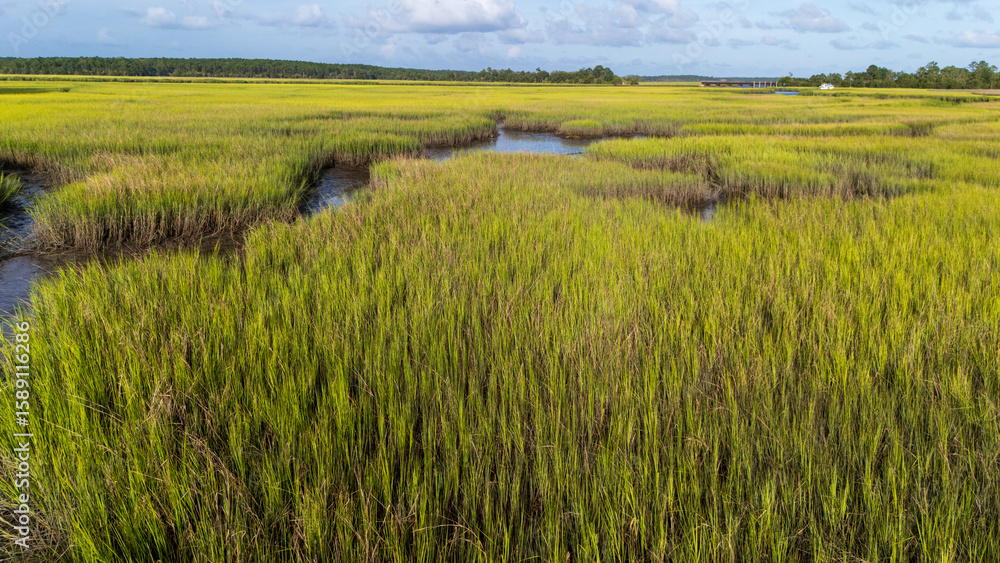 Fototapeta premium Scenic view of marshlands with winding waterways under clear skies during daylight hours