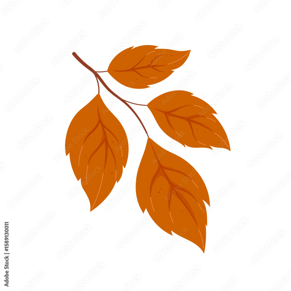Naklejka premium Vector flat illustration autumn leaf on white background