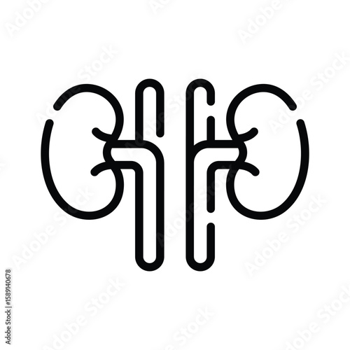 A premium outline icon of both human kidneys