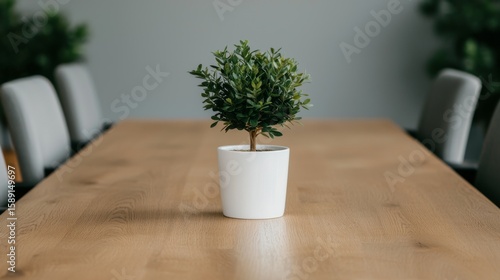 Small green plant on table symbolizing growth and freshness in business consulting meeting setting