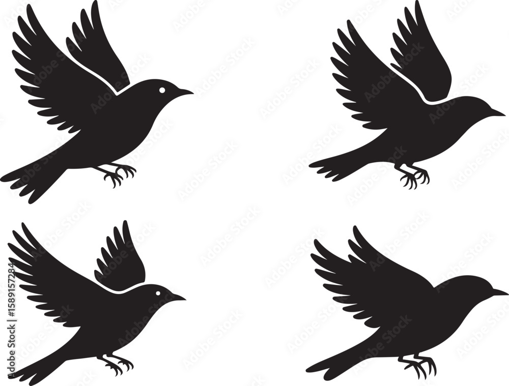 Fototapeta premium Bird Family and Feeding Silhouette Icon Set, Wildlife Vector Collection, symbol of bird illustration.