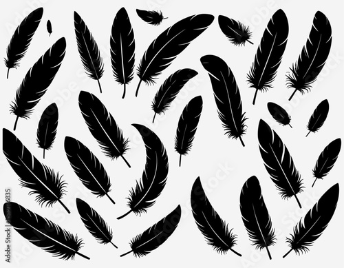 Scattered Black Feathers Silhouette Pattern on White