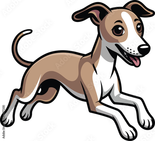 Whippet Dog captured in a playful and energetic pose