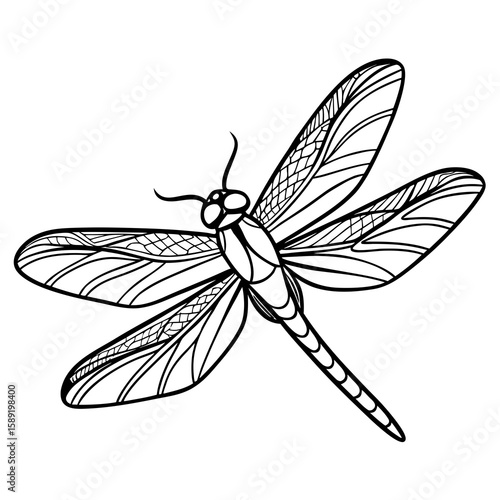 dragonfly vector illustration