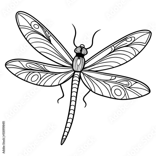 dragonfly vector illustration