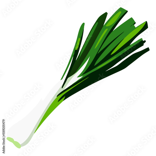 Leek  onion vector illustration with fresh design for healthy diet and food designs