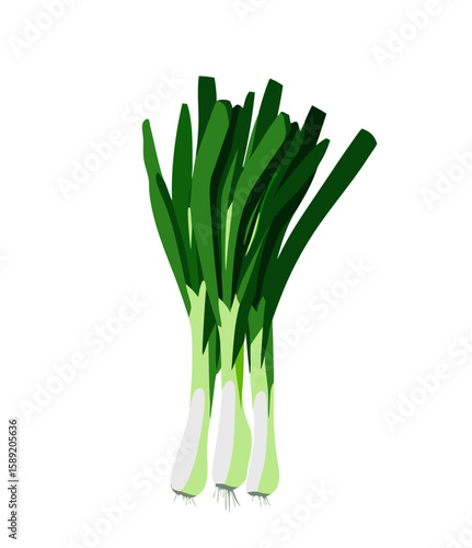 Spring onion vector illustration with fresh design for health and culinary designs