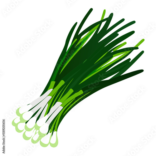 Chives onion vector illustration with fresh design for health and cooking	
