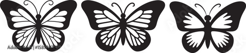 Abstract black and white background with flying butterfly and insect vector illustration design Silhouette