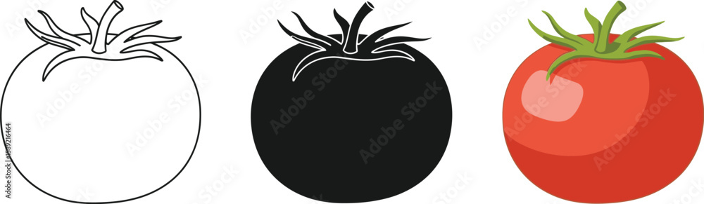 Three tomato illustrations showcase a line drawing, a solid black silhouette, and a full-color version, ideal for culinary designs, educational materials, or food-related projects. Three tomato illustrations showcase a line drawing, a solid black silhouette, and a full-color version, ideal for culinary designs, educational materials, or food-related projects.