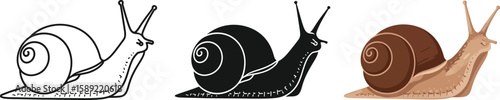 Three snail illustrations showcase different styles, from a simple outline to a detailed color version, ideal for educational materials or nature-themed designs with a focus on mollusks.