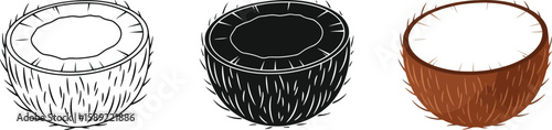 Three coconut halves are displayed in different styles, including a line drawing, a solid black silhouette, and a colored version, perfect for illustrating tropical themes.