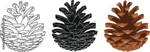 Three pine cones are displayed in different styles, including a line drawing, a solid black silhouette, and a fully colored version, perfect for seasonal designs.