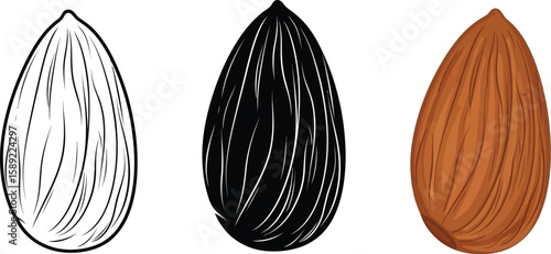 Three almond illustrations showcase different styles, from a simple outline to a solid silhouette and a detailed color version, perfect for food blogs or healthy eating designs.