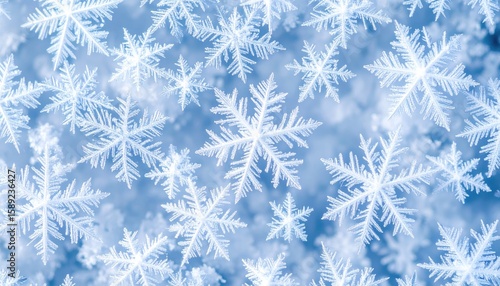 Detailed Close Up Of Snowflakes In White And Blue Creating A Frosty Abstract Background