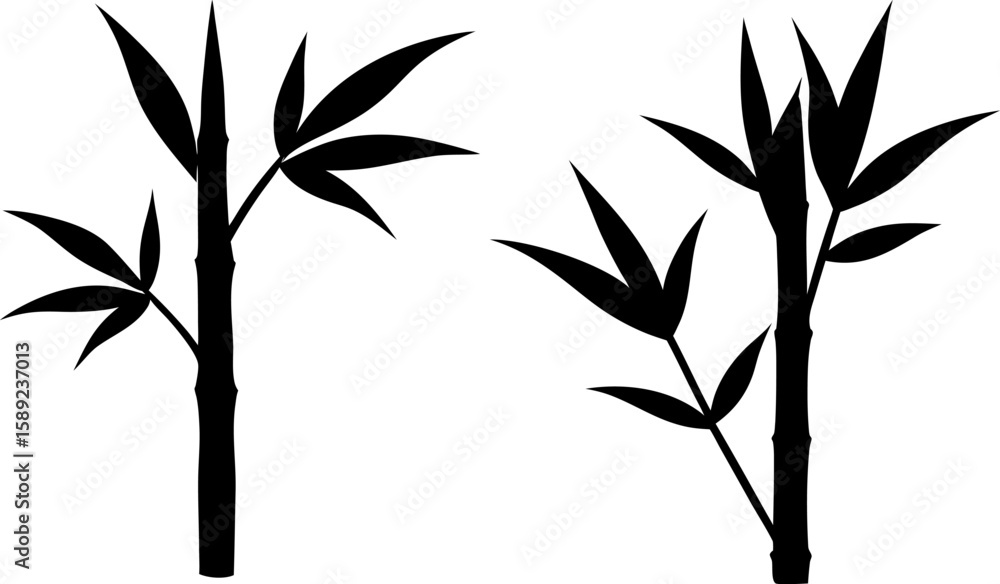 Obraz premium Bamboo vector art, bamboo tree art, bamboo tree vector art design, Vector of modern bamboo leaves art, bamboo isolated