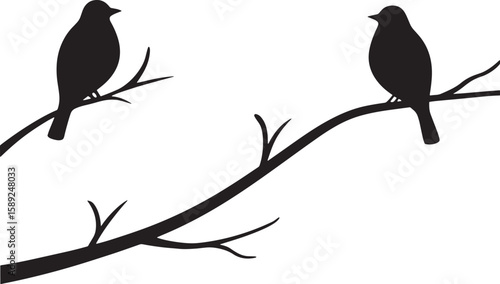 Black birds perched on bare branches silhouette