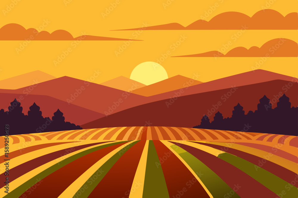 Obraz premium golden hour over a vineyard with rows of grapevine