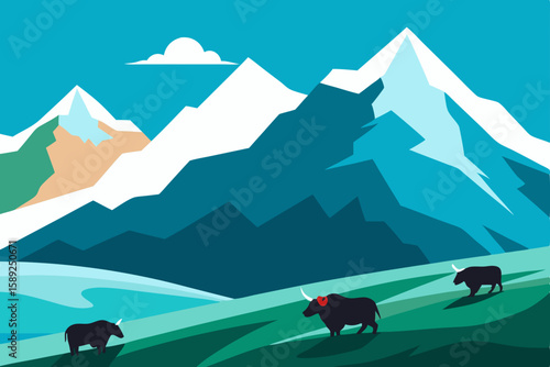 high altitude plateau with grazing yaks 