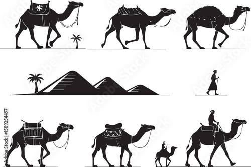 set of camels