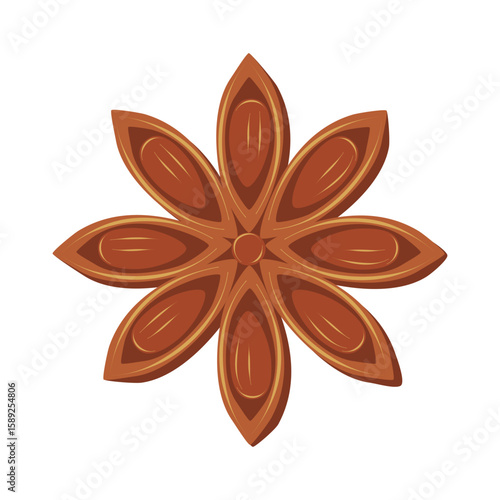 Star anise vector isolated on white background. Spice for drinks and food.