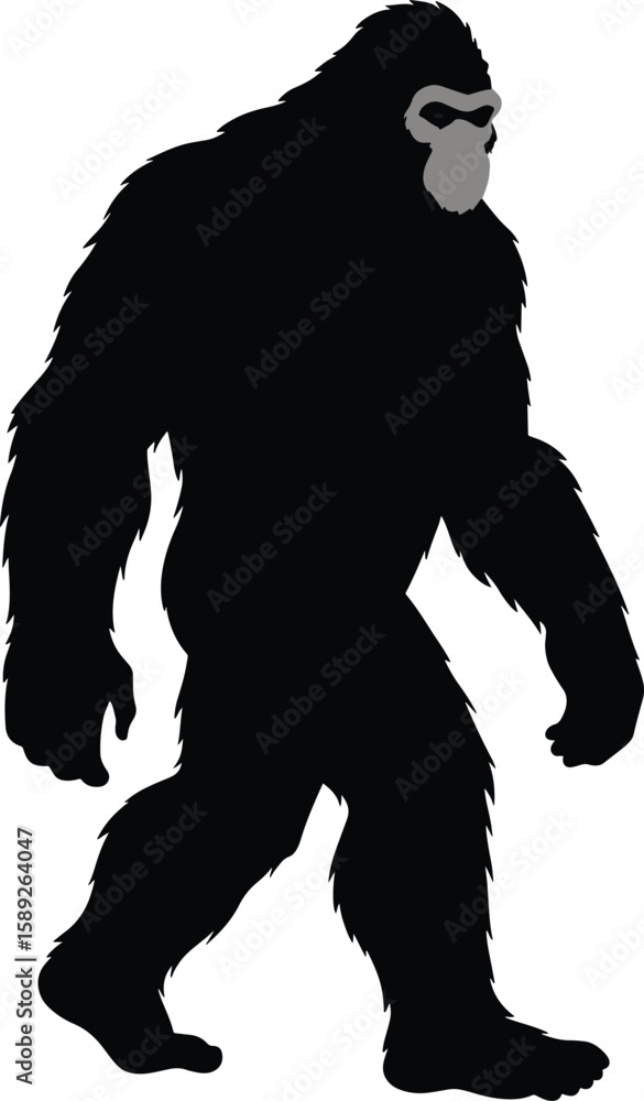Fototapeta premium Bigfoot Sasquatch Monster Walking Silhouette on White
