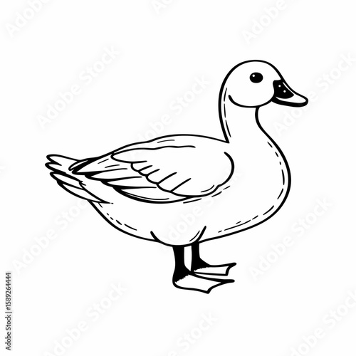 Simple black outline drawing of a duck on a white background bird animal