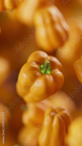 Animation of a group of bell pepper. Many bell pepper slowly rotate in the background in space. Vertical composition. Defocus. Close-up.